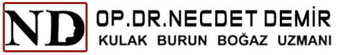 Dr Necdet Demir
