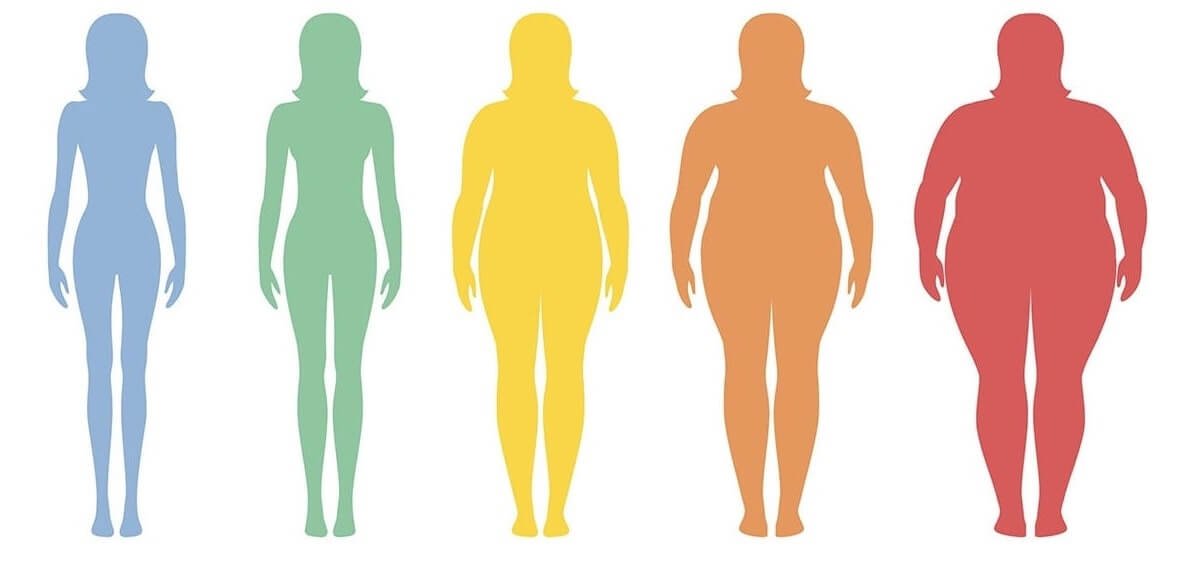 what is body mass index