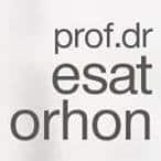 Prof. Dr. Esat Orhon